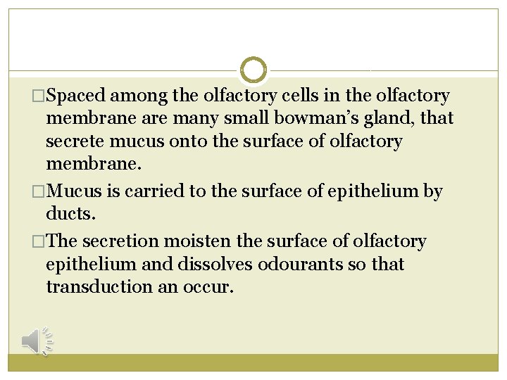�Spaced among the olfactory cells in the olfactory membrane are many small bowman’s gland,