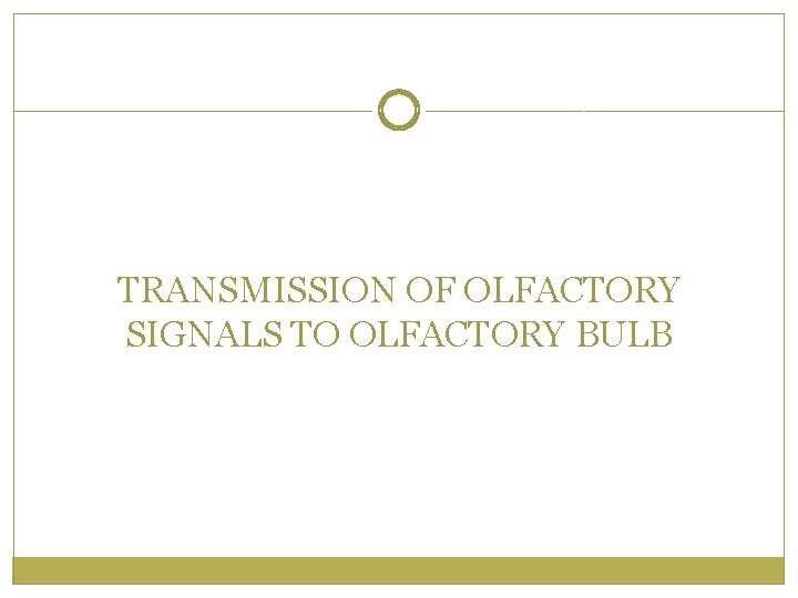 TRANSMISSION OF OLFACTORY SIGNALS TO OLFACTORY BULB 