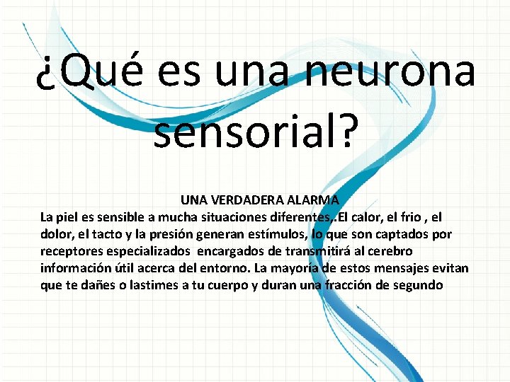 ¿Qué es una neurona sensorial? UNA VERDADERA ALARMA La piel es sensible a mucha