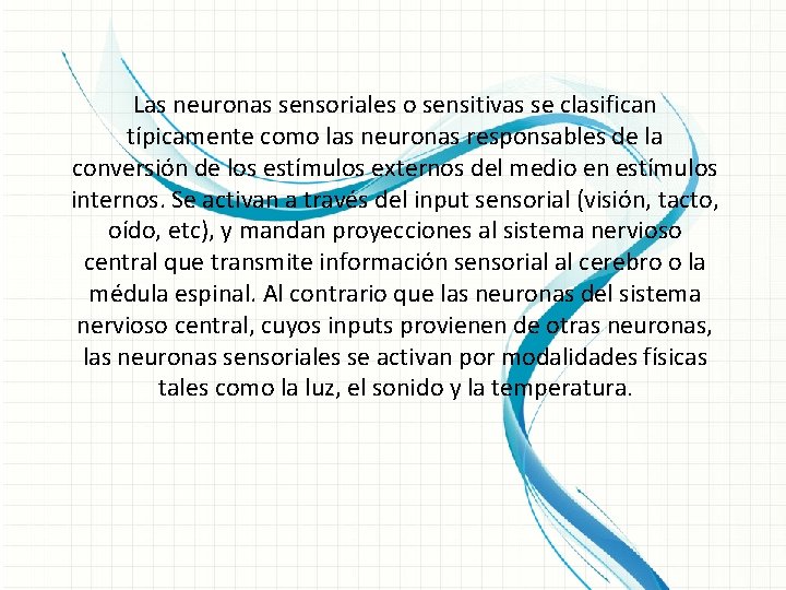 Las neuronas sensoriales o sensitivas se clasifican típicamente como las neuronas responsables de la