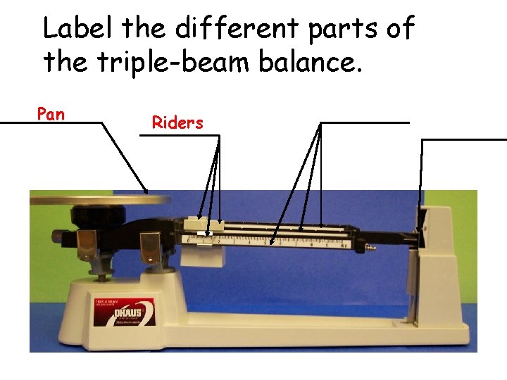 Label the different parts of the triple-beam balance. Pan Riders 