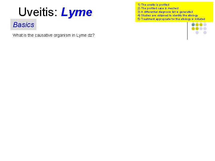 Uveitis: Lyme Basics What is the causative organism in Lyme dz? 1) The uveitis