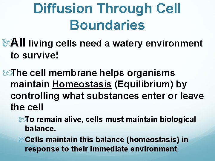 Diffusion Through Cell Boundaries All living cells need a watery environment to survive! The