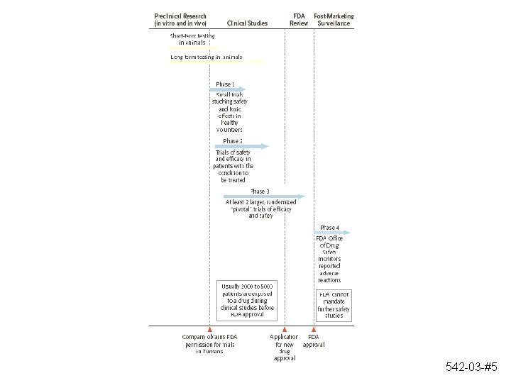 542 -03 -#5 542 -03 -#5