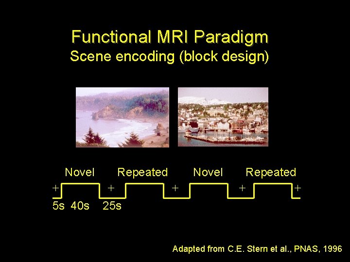 Functional MRI Paradigm Scene encoding (block design) Novel + 5 s 40 s Repeated