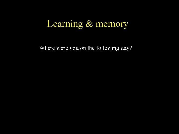 Learning & memory Where were you on the following day? 