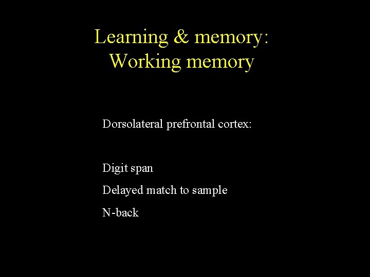 Learning & memory: Working memory Dorsolateral prefrontal cortex: Digit span Delayed match to sample