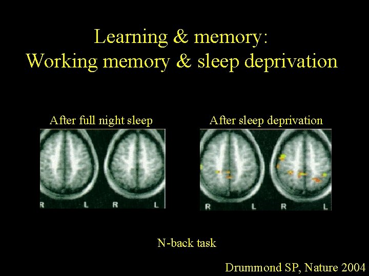Learning & memory: Working memory & sleep deprivation After full night sleep After sleep