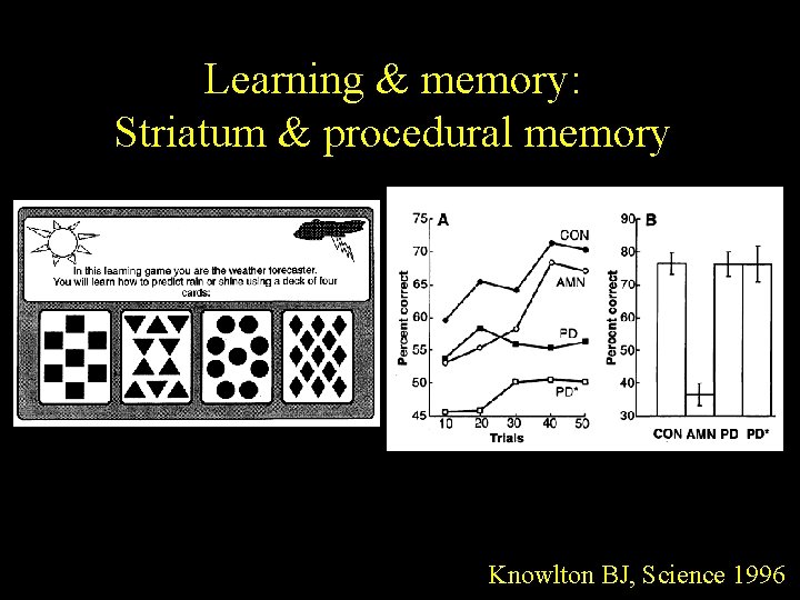 Learning & memory: Striatum & procedural memory Knowlton BJ, Science 1996 