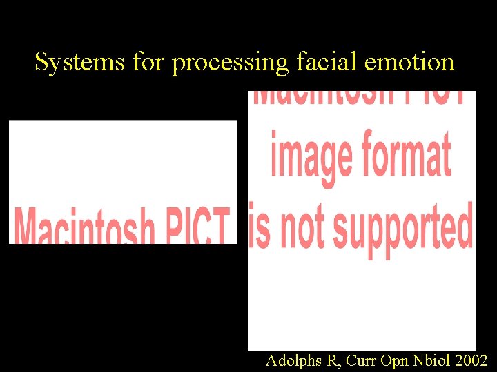 Systems for processing facial emotion Adolphs R, Curr Opn Nbiol 2002 