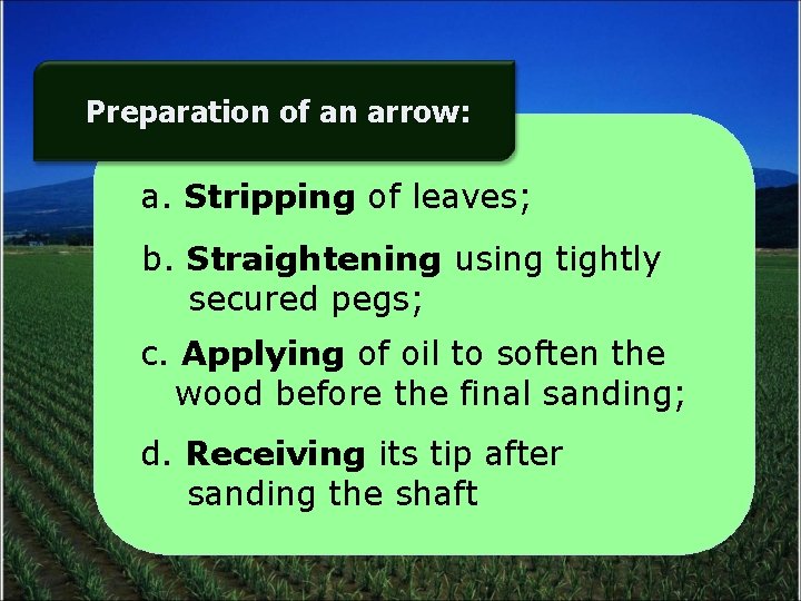 Preparation of an arrow: a. Stripping of leaves; b. Straightening using tightly secured pegs;