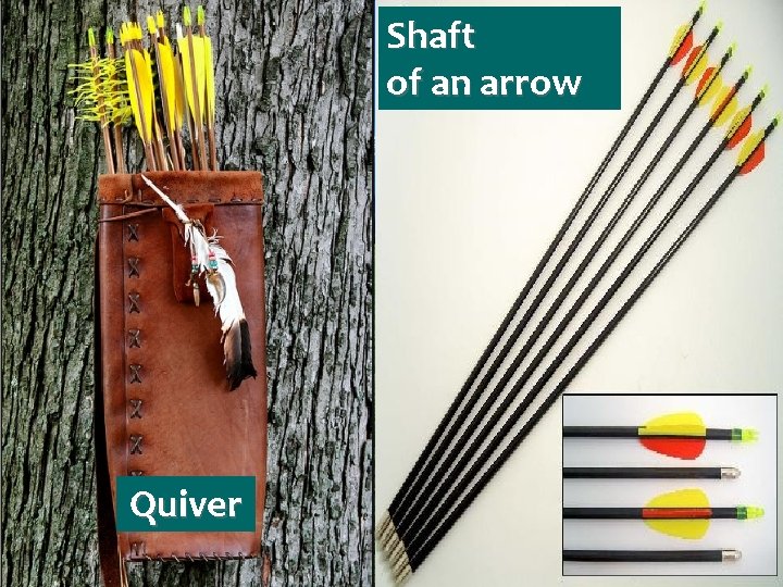 Shaft of an arrow Quiver 