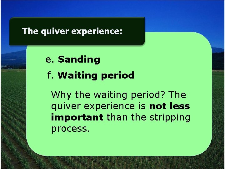 The quiver experience: e. Sanding f. Waiting period Why the waiting period? The quiver