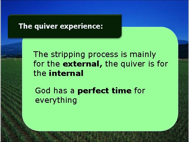 The quiver experience: The stripping process is mainly for the external, the quiver is