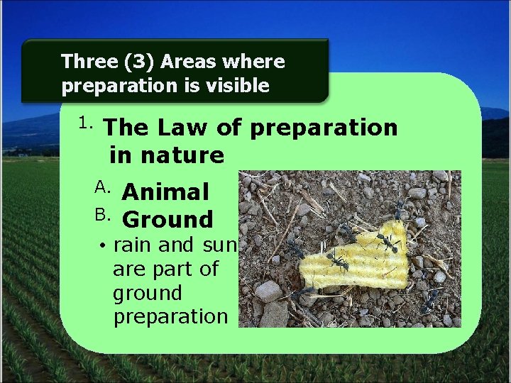 Three (3) Areas where preparation is visible 1. The Law of preparation in nature