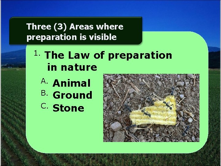 Three (3) Areas where preparation is visible 1. The Law of preparation in nature