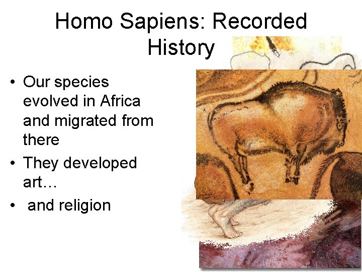 Homo Sapiens: Recorded History • Our species evolved in Africa and migrated from there