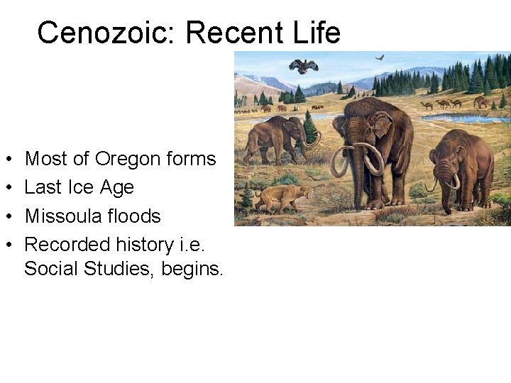 Cenozoic: Recent Life • • Most of Oregon forms Last Ice Age Missoula floods