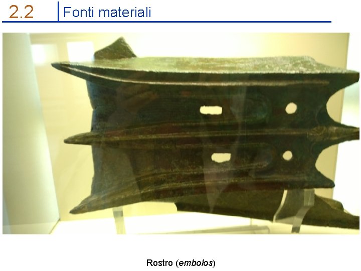 2. 2 Fonti materiali Rostro (embolos) 