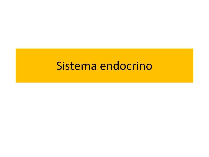Sistema endocrino 