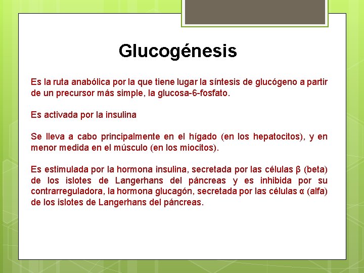 Glucogénesis Es la ruta anabólica por la que tiene lugar la síntesis de glucógeno