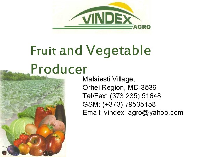 Fruit and Vegetable Producer Malaiesti Village, Orhei Region, MD-3536 Tel/Fax: (373 235) 51648 GSM: