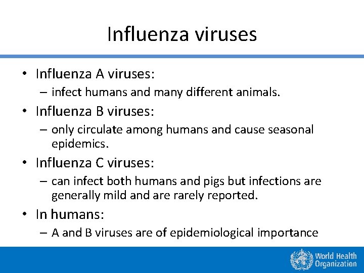 Influenza viruses • Influenza A viruses: – infect humans and many different animals. •