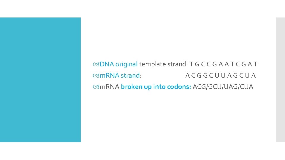  DNA original template strand: T G C C G A A T C