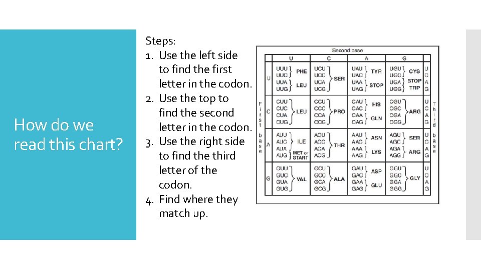 How do we read this chart? Steps: 1. Use the left side to find