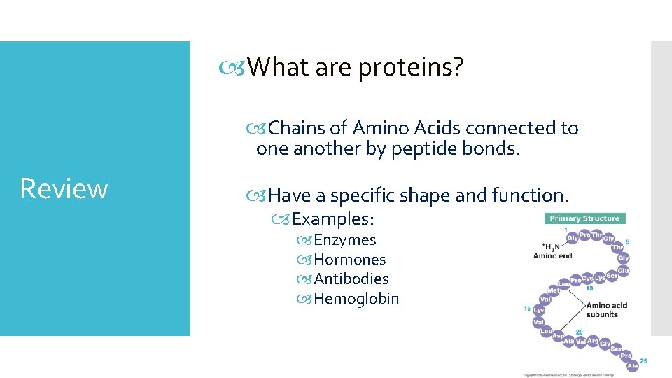  What are proteins? Chains of Amino Acids connected to one another by peptide