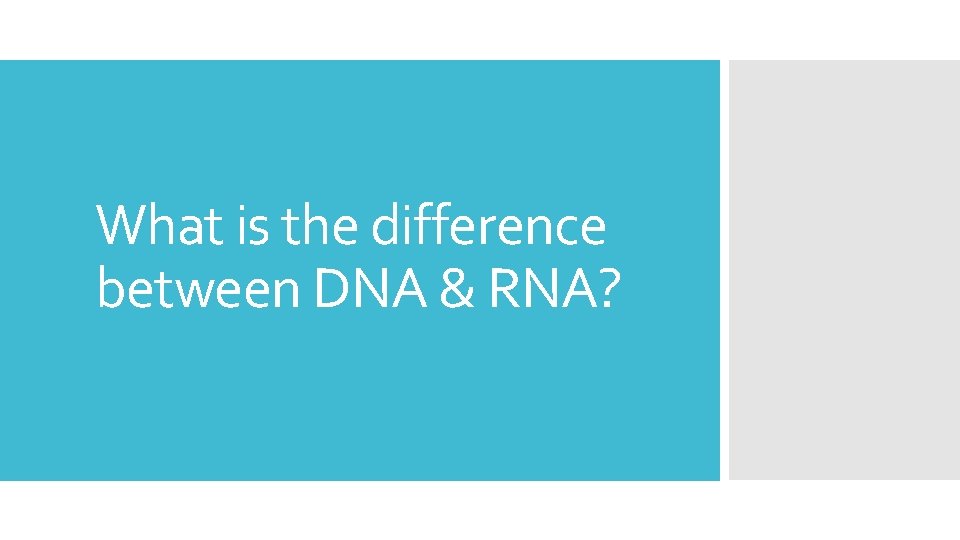 What is the difference between DNA & RNA? 