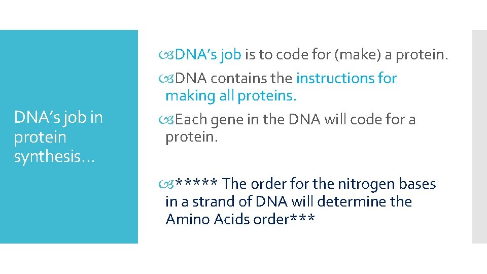 DNA’s job in protein synthesis… DNA’s job is to code for (make) a protein.