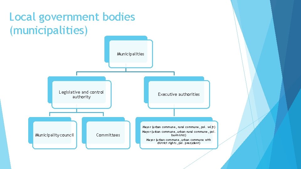 Local government bodies (municipalities) Municipalities Legislative and control authority Municipality council Committees Executive authorities