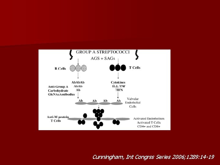 Cunningham, Int Congrss Series 2006; 1289: 14 -19 