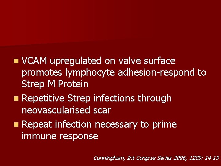 n VCAM upregulated on valve surface promotes lymphocyte adhesion-respond to Strep M Protein n