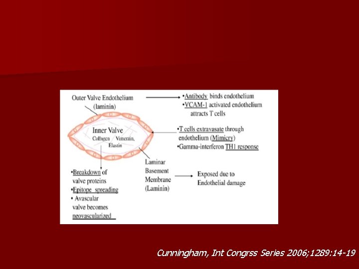 Cunningham, Int Congrss Series 2006; 1289: 14 -19 