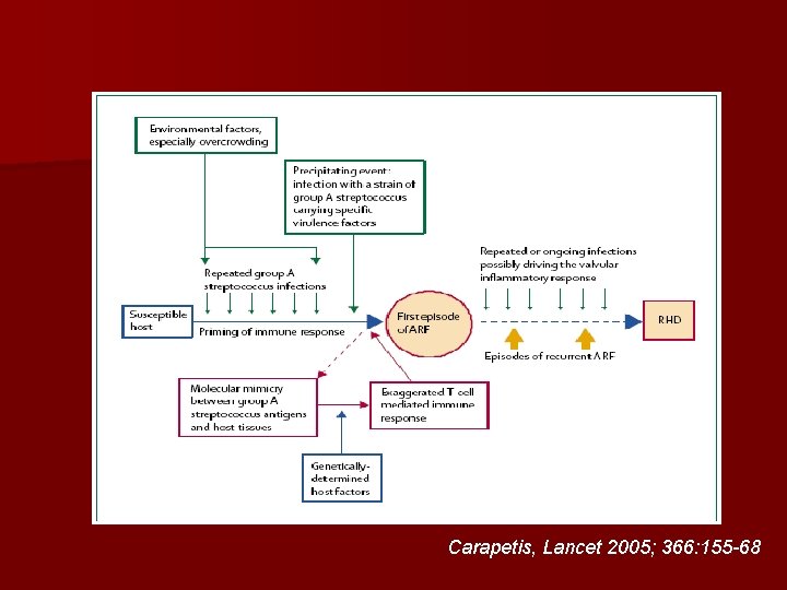 Carapetis, Lancet 2005; 366: 155 -68 