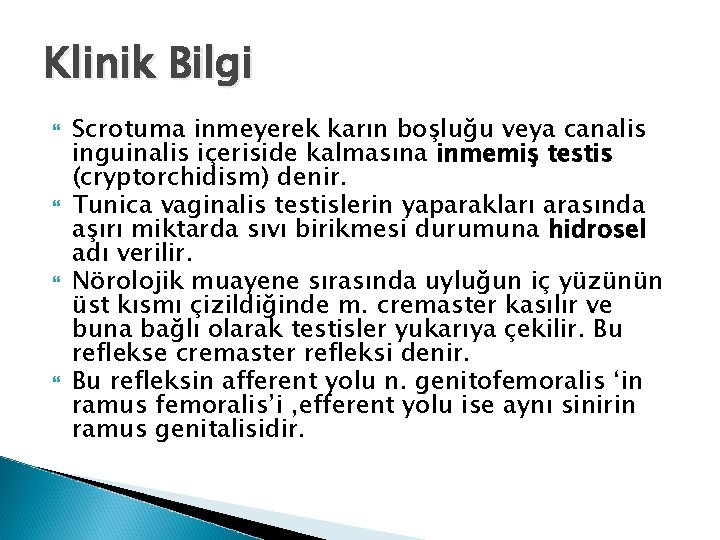 Klinik Bilgi Scrotuma inmeyerek karın boşluğu veya canalis inguinalis içeriside kalmasına inmemiş testis (cryptorchidism) Klinik Bilgi Scrotuma inmeyerek karın boşluğu veya canalis inguinalis içeriside kalmasına inmemiş testis (cryptorchidism)