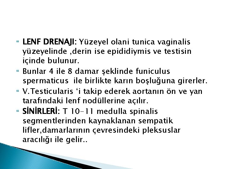 LENF DRENAJI: Yüzeyel olani tunica vaginalis yüzeyelinde , derin ise epididiymis ve testisin LENF DRENAJI: Yüzeyel olani tunica vaginalis yüzeyelinde , derin ise epididiymis ve testisin