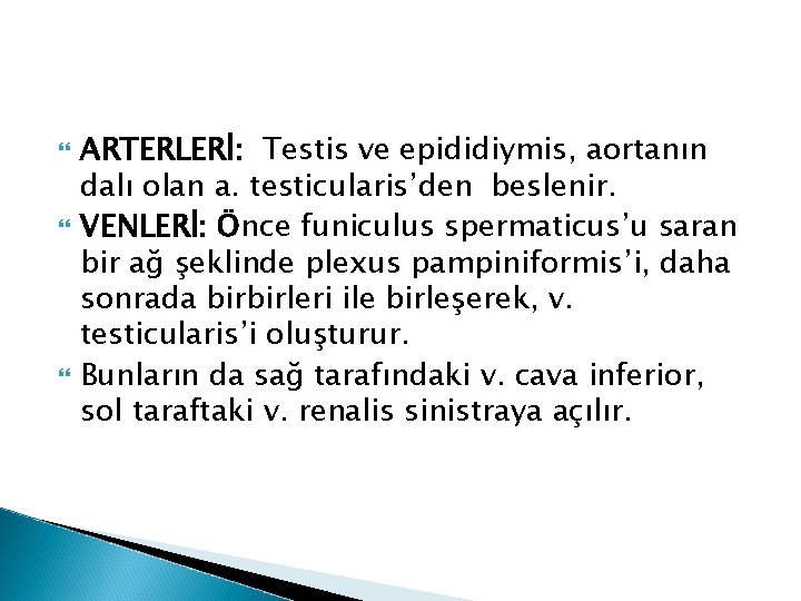 ARTERLERİ: Testis ve epididiymis, aortanın dalı olan a. testicularis’den beslenir. VENLERİ: Önce funiculus ARTERLERİ: Testis ve epididiymis, aortanın dalı olan a. testicularis’den beslenir. VENLERİ: Önce funiculus