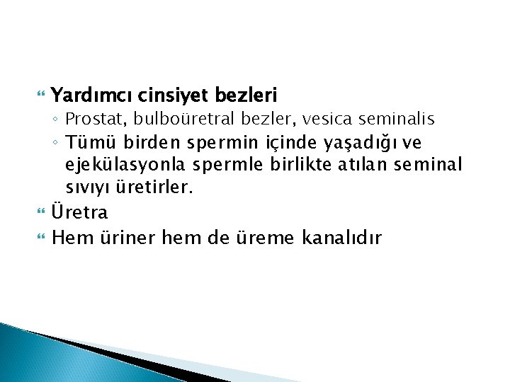 Yardımcı cinsiyet bezleri ◦ Prostat, bulboüretral bezler, vesica seminalis ◦ Tümü birden spermin Yardımcı cinsiyet bezleri ◦ Prostat, bulboüretral bezler, vesica seminalis ◦ Tümü birden spermin