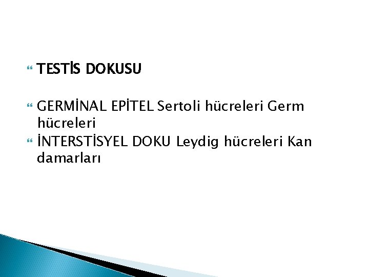 TESTİS DOKUSU GERMİNAL EPİTEL Sertoli hücreleri Germ hücreleri İNTERSTİSYEL DOKU Leydig hücreleri Kan TESTİS DOKUSU GERMİNAL EPİTEL Sertoli hücreleri Germ hücreleri İNTERSTİSYEL DOKU Leydig hücreleri Kan
