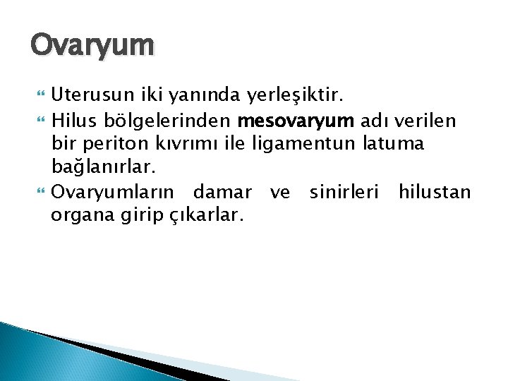 Ovaryum Uterusun iki yanında yerleşiktir. Hilus bölgelerinden mesovaryum adı verilen bir periton kıvrımı ile Ovaryum Uterusun iki yanında yerleşiktir. Hilus bölgelerinden mesovaryum adı verilen bir periton kıvrımı ile