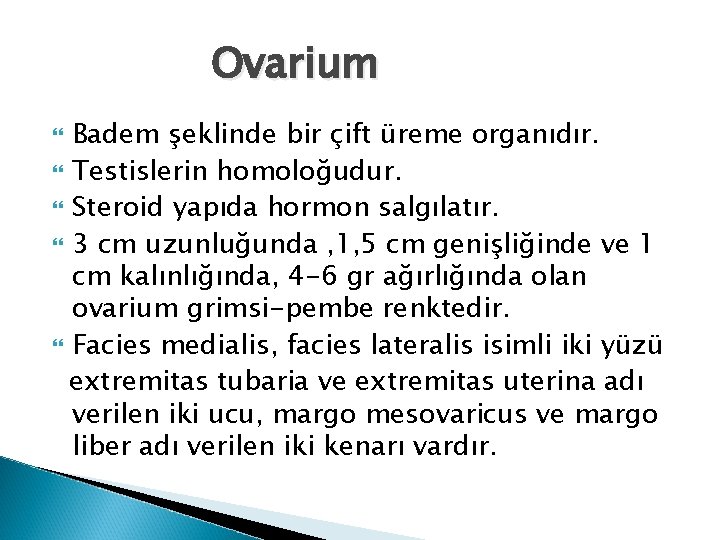 Ovarium Badem şeklinde bir çift üreme organıdır. Testislerin homoloğudur. Steroid yapıda hormon salgılatır. 3 Ovarium Badem şeklinde bir çift üreme organıdır. Testislerin homoloğudur. Steroid yapıda hormon salgılatır. 3