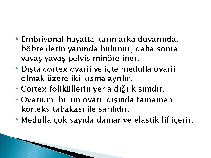 Embriyonal hayatta karın arka duvarında, böbreklerin yanında bulunur, daha sonra yavaş pelvis minöre Embriyonal hayatta karın arka duvarında, böbreklerin yanında bulunur, daha sonra yavaş pelvis minöre