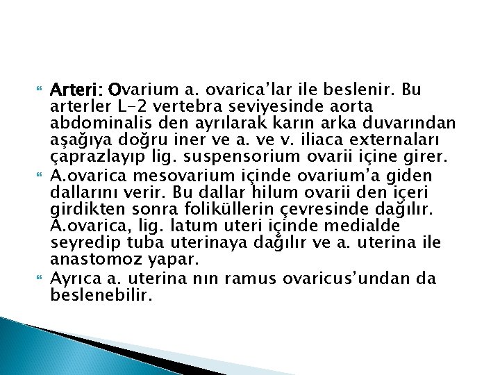 Arteri: Ovarium a. ovarica’lar ile beslenir. Bu arterler L-2 vertebra seviyesinde aorta abdominalis Arteri: Ovarium a. ovarica’lar ile beslenir. Bu arterler L-2 vertebra seviyesinde aorta abdominalis