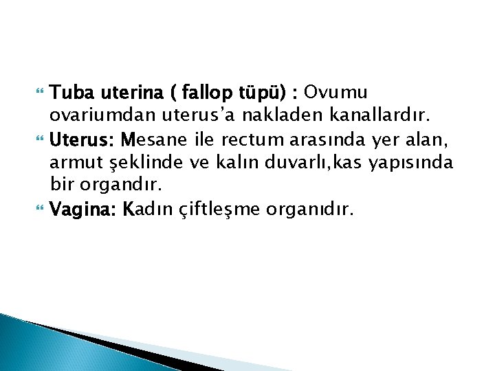 Tuba uterina ( fallop tüpü) : Ovumu ovariumdan uterus’a nakladen kanallardır. Uterus: Mesane Tuba uterina ( fallop tüpü) : Ovumu ovariumdan uterus’a nakladen kanallardır. Uterus: Mesane
