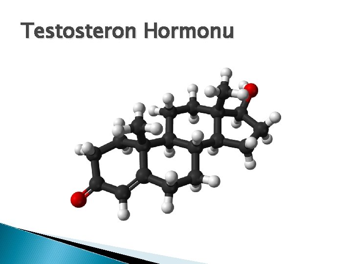 Testosteron Hormonu Testosteron Hormonu