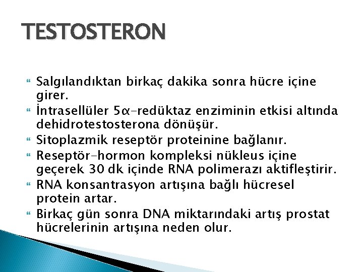 TESTOSTERON Salgılandıktan birkaç dakika sonra hücre içine girer. İntrasellüler 5α-redüktaz enziminin etkisi altında dehidrotestosterona TESTOSTERON Salgılandıktan birkaç dakika sonra hücre içine girer. İntrasellüler 5α-redüktaz enziminin etkisi altında dehidrotestosterona
