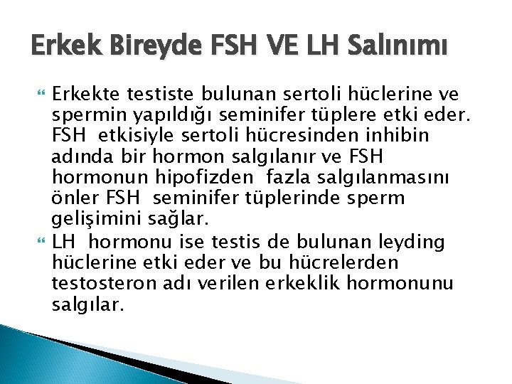 Erkek Bireyde FSH VE LH Salınımı Erkekte testiste bulunan sertoli hüclerine ve spermin yapıldığı Erkek Bireyde FSH VE LH Salınımı Erkekte testiste bulunan sertoli hüclerine ve spermin yapıldığı